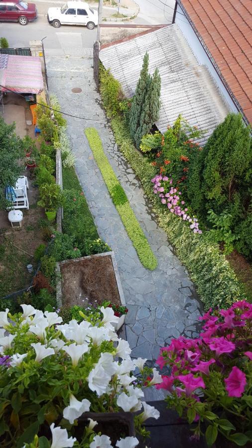 Vila Sentic Vranje Ngoại thất bức ảnh