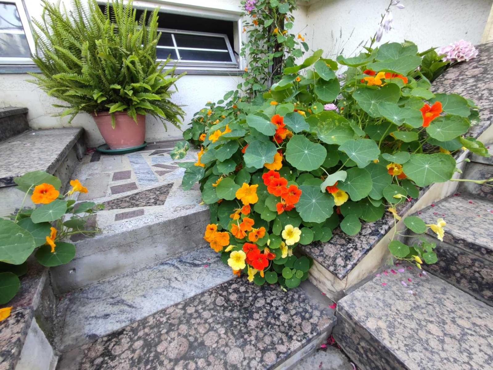Vila Sentic Vranje Ngoại thất bức ảnh