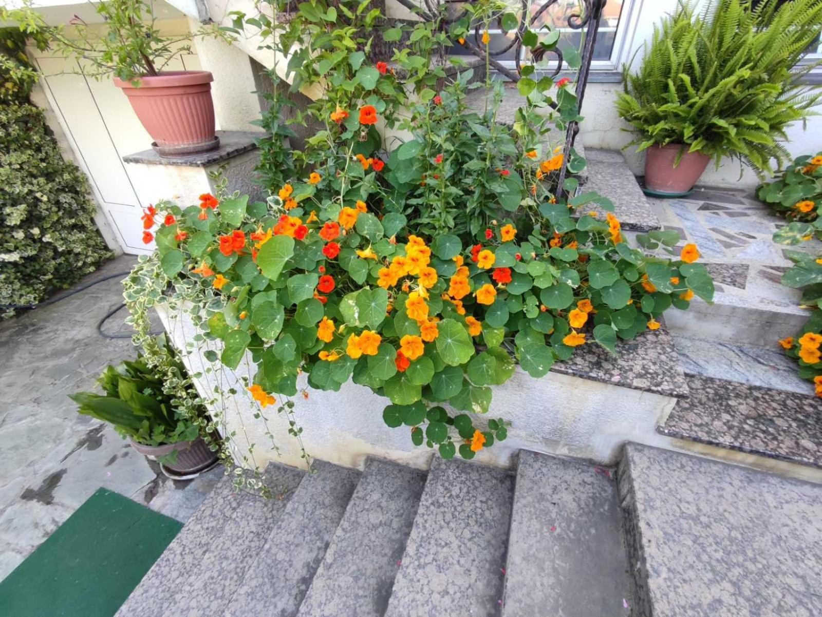 Vila Sentic Vranje Ngoại thất bức ảnh