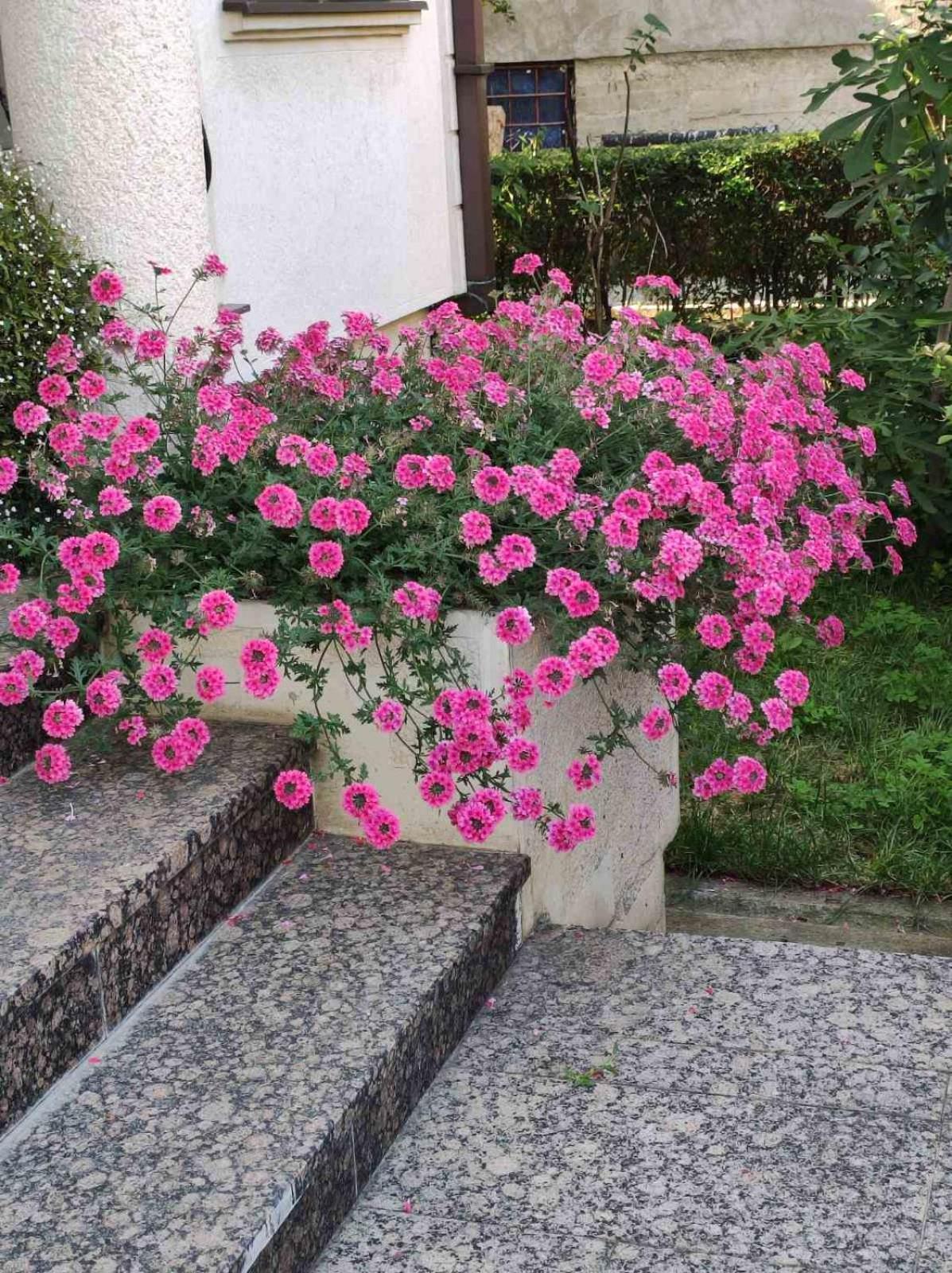Vila Sentic Vranje Ngoại thất bức ảnh