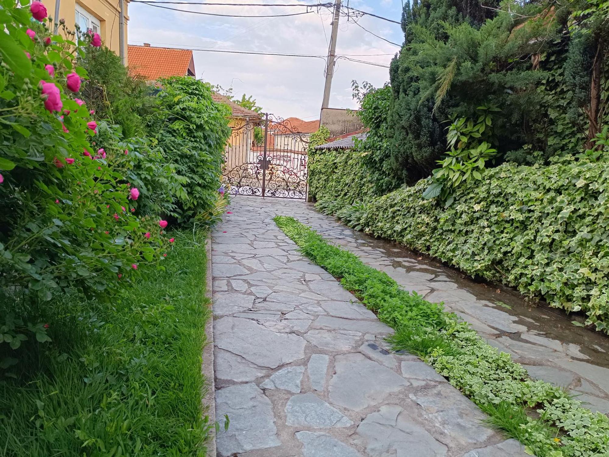 Vila Sentic Vranje Ngoại thất bức ảnh