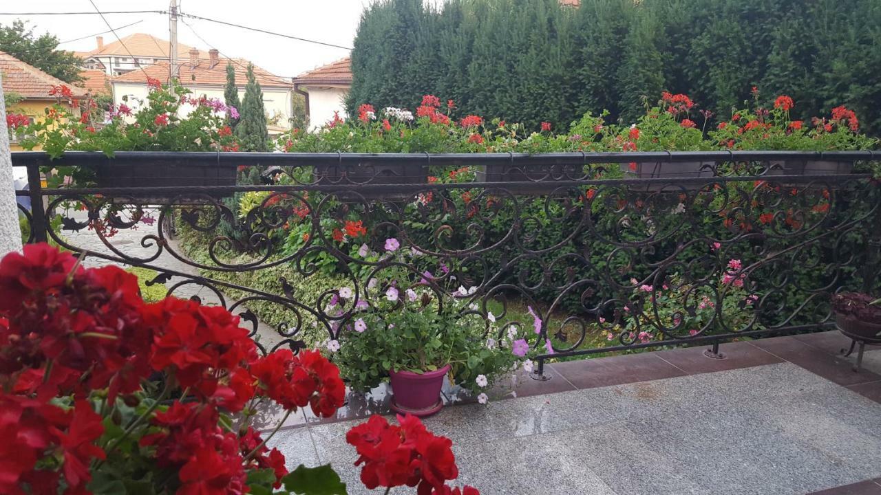 Vila Sentic Vranje Ngoại thất bức ảnh