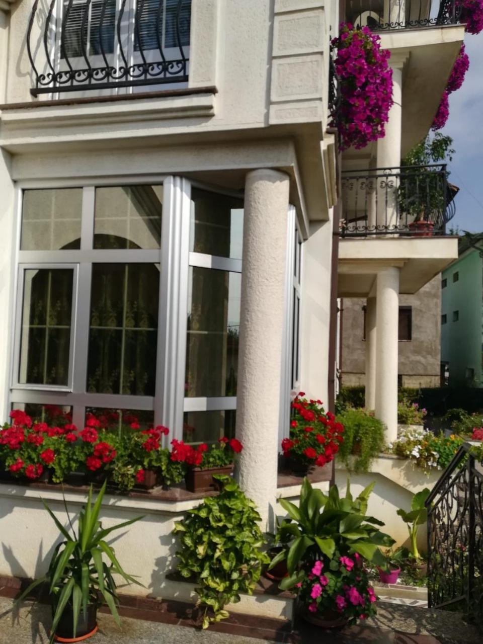 Vila Sentic Vranje Ngoại thất bức ảnh